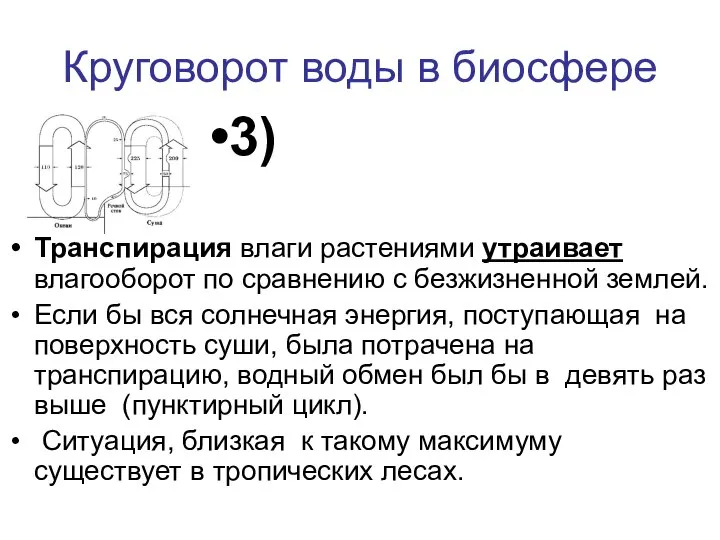 Круговорот воды в биосфере Транспирация влаги растениями утраивает влагооборот по сравнению