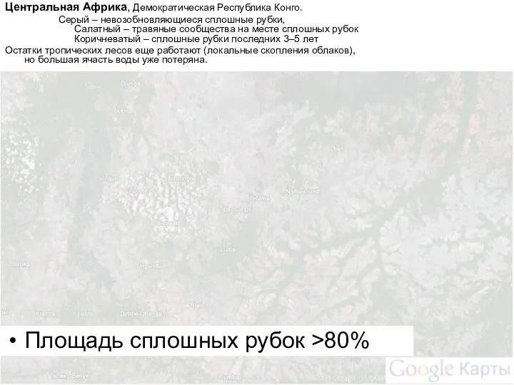 Центральная Африка, Демократическая Республика Конго. Серый – невозобновляющиеся сплошные рубки, Салатный