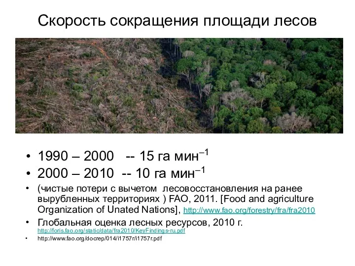 Скорость сокращения площади лесов 1990 – 2000 -- 15 га мин–1