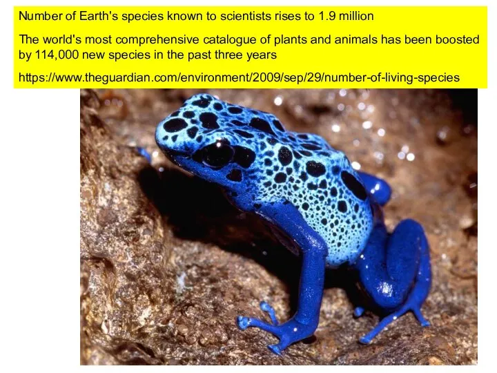 Биоразнообразие Земли Number of Earth's species known to scientists rises to