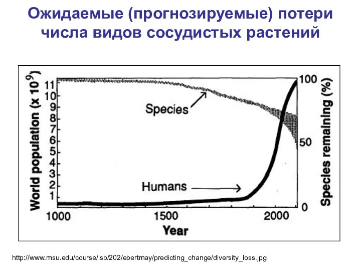 Ожидаемые (прогнозируемые) потери числа видов сосудистых растений http://www.msu.edu/course/isb/202/ebertmay/predicting_change/diversity_loss.jpg