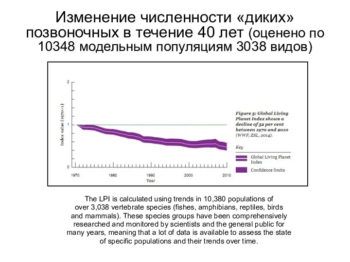 Изменение численности «диких» позвоночных в течение 40 лет (оценено по 10348