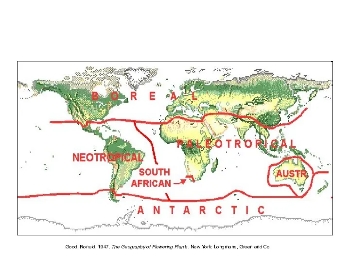 Good, Ronald, 1947. The Geography of Flowering Plants. New York: Longmans, Green and Co