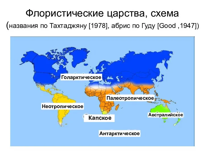 Флористические царства, схема (названия по Тахтаджяну [1978], абрис по Гуду [Good