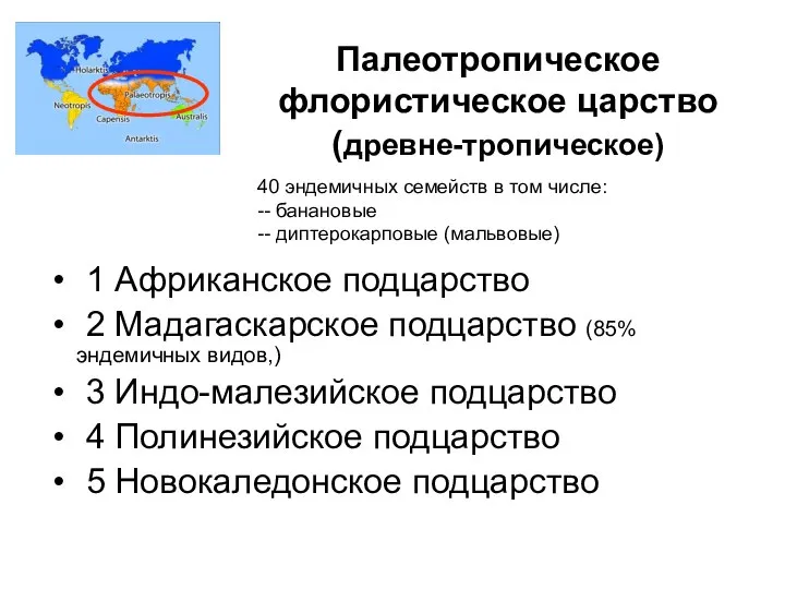 Палеотропическое флористическое царство (древне-тропическое) 1 Африканское подцарство 2 Мадагаскарское подцарство (85%