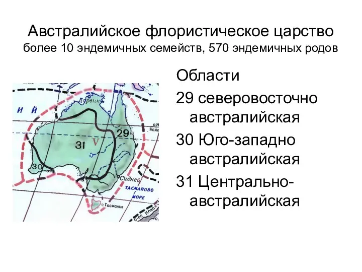 Австралийское флористическое царство более 10 эндемичных семейств, 570 эндемичных родов Области