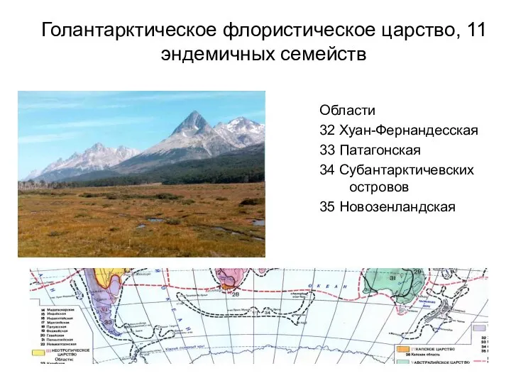 Голантарктическое флористическое царство, 11 эндемичных семейств Области 32 Хуан-Фернандесская 33 Патагонская 34 Субантарктичевских островов 35 Новозенландская