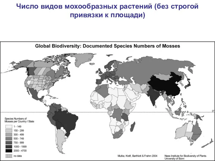 Число видов мохообразных растений (без строгой привязки к площади)