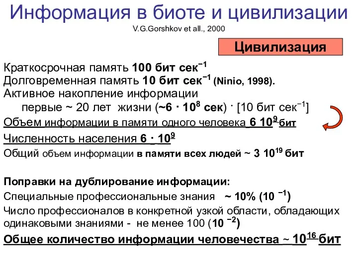 Информация в биоте и цивилизации V.G.Gorshkov et all., 2000 Краткосрочная память