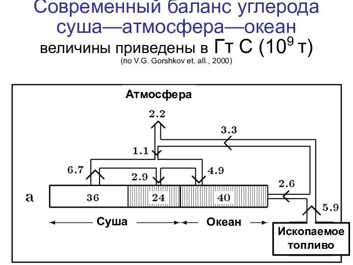 Современный баланс углерода суша—атмосфера—океан величины приведены в Гт С (109 т)