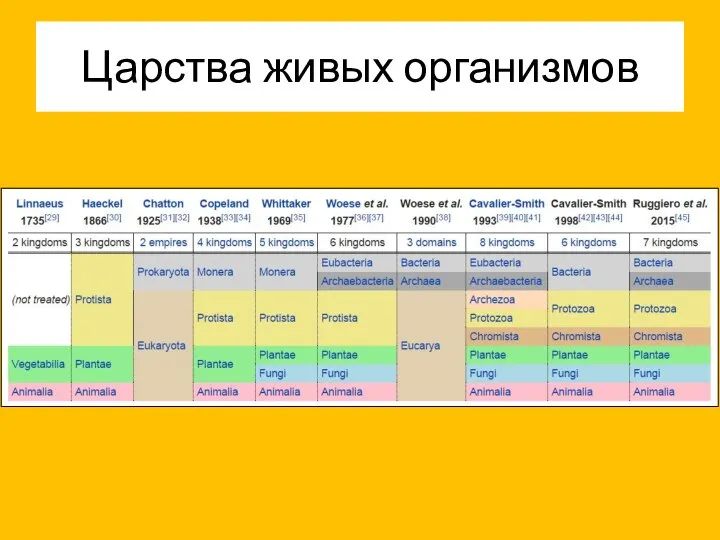 Царства живых организмов