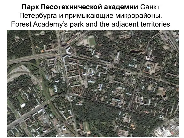 Парк Лесотехнической академии Санкт Петербурга и примыкающие микрорайоны. Forest Academy’s park and the adjacent territories