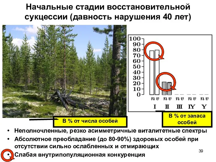 Начальные стадии восстановительной сукцессии (давность нарушения 40 лет) Неполночленные, резко асимметричные