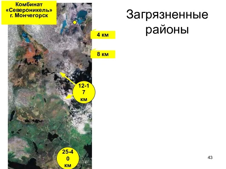 Загрязненные районы 25-40 км 12-17 км Комбинат «Североникель» г. Мончегорск 4 км 8 км