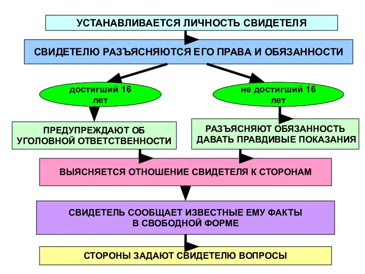 УСТАНАВЛИВАЕТСЯ ЛИЧНОСТЬ СВИДЕТЕЛЯ СВИДЕТЕЛЮ РАЗЪЯСНЯЮТСЯ ЕГО ПРАВА И ОБЯЗАННОСТИ достигший 16