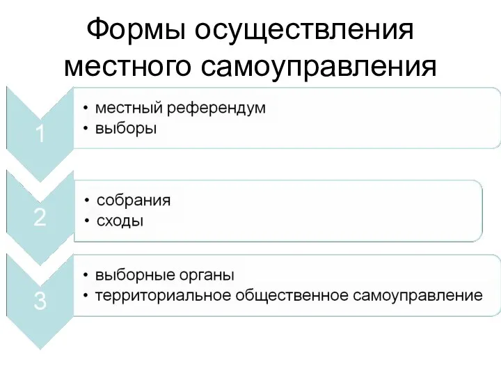 Формы осуществления местного самоуправления