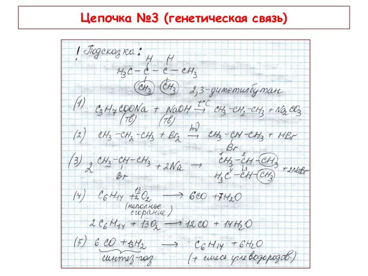 Цепочка №3 (генетическая связь)