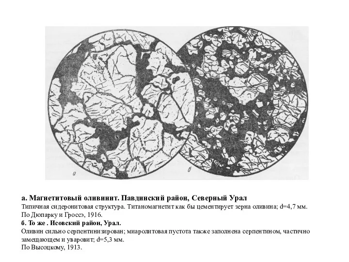 а. Магнетитовый оливинит. Павдинский район, Северный Урал Типичная сидеронитовая структура. Титаномагнетит