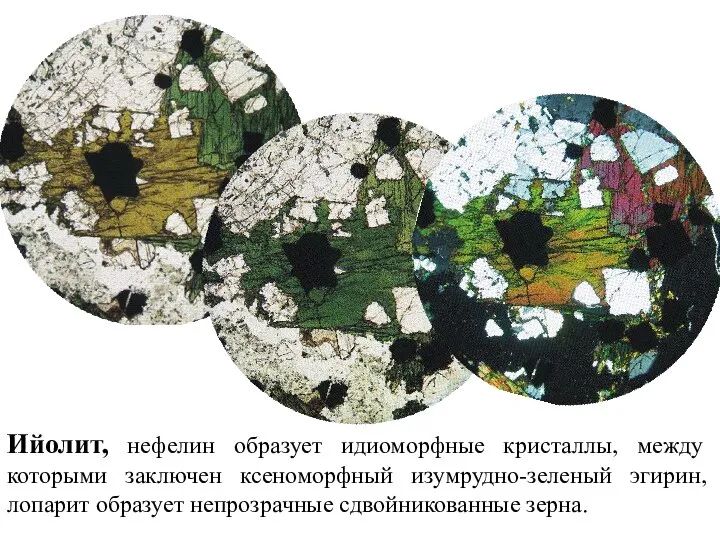 Ийолит, нефелин образует идиоморфные кристаллы, между которыми заключен ксеноморфный изумрудно-зеленый эгирин, лопарит образует непрозрачные сдвойникованные зерна.