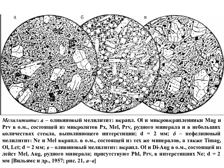 Мелилититы: а – оливиновый мелилитит: вкрапл. Ol и микровкрапленники Mag и