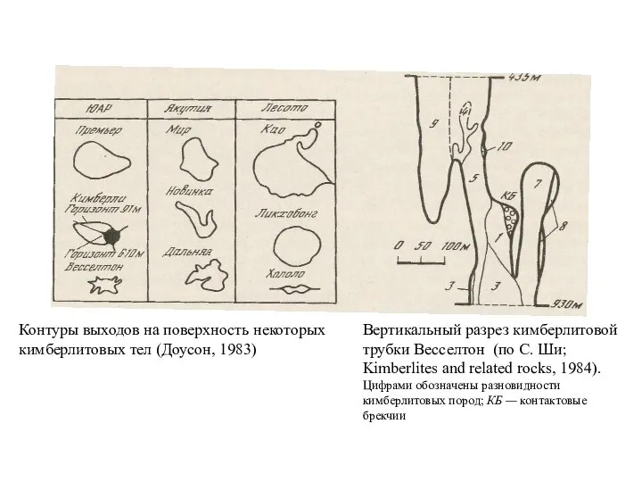 Контуры выходов на поверхность некоторых кимберлитовых тел (Доусон, 1983) Вертикальный разрез