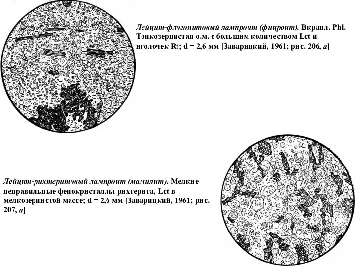 Лейцит-флогопитовый лампроит (фицроит). Вкрапл. Phl. Тонкозернистая о.м. с большим количеством Lct