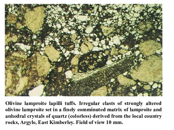 Olivine lamproite lapilli tuffs. Irregular clasts of strongly altered olivine lamproite