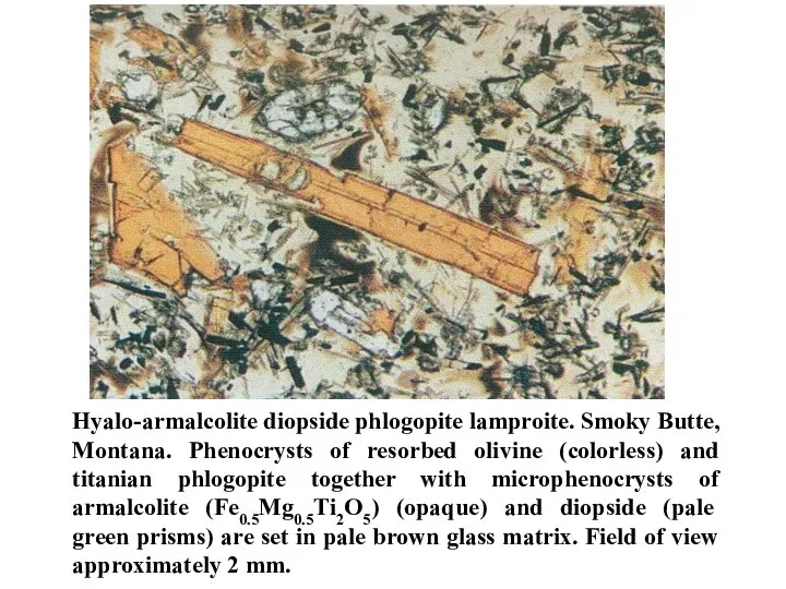 Hyalo-armalcolite diopside phlogopite lamproite. Smoky Butte, Montana. Phenocrysts of resorbed olivine