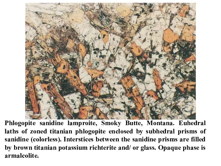 Phlogopite sanidine lamproite, Smoky Butte, Montana. Euhedral laths of zoned titanian