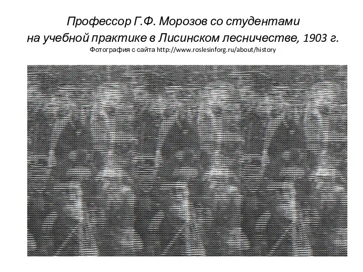 Профессор Г.Ф. Морозов со студентами на учебной практике в Лисинском лесничестве,