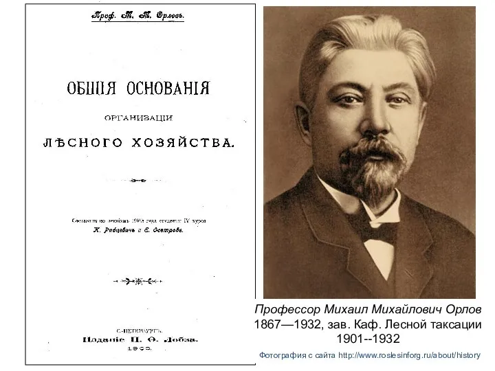 Профессор Михаил Михайлович Орлов 1867—1932, зав. Каф. Лесной таксации 1901--1932 Фотография с сайта http://www.roslesinforg.ru/about/history