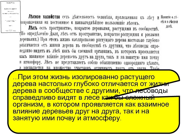 …При этом жизнь изолированно растущего дерева настолько глубоко отличается от жизни