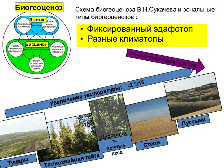 Фиксированный эдафотоп Разные климатопы Экотоп Биоценоз Биогеоценоз Схема биогеоценоза В.Н.Сукачева и