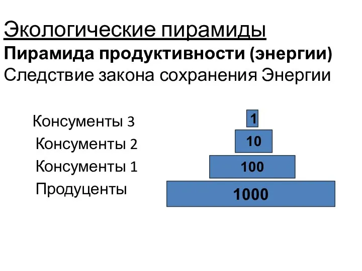 Экологические пирамиды Пирамида продуктивности (энергии) Следствие закона сохранения Энергии Консументы 3