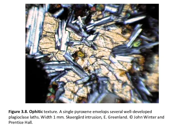 Figure 3.8. Ophitic texture. A single pyroxene envelops several well-developed plagioclase