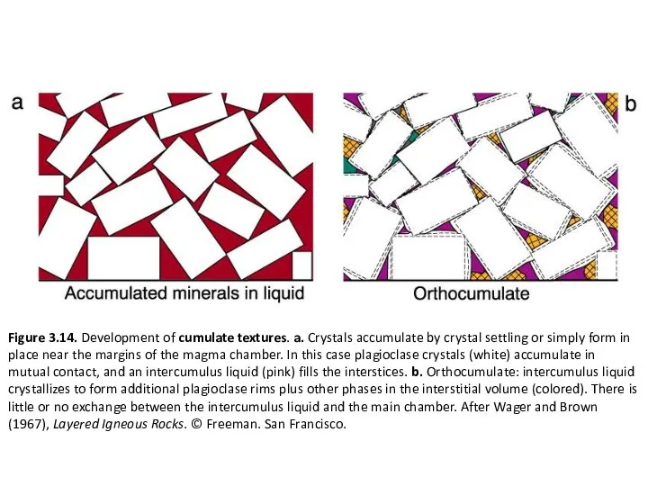 Figure 3.14. Development of cumulate textures. a. Crystals accumulate by crystal