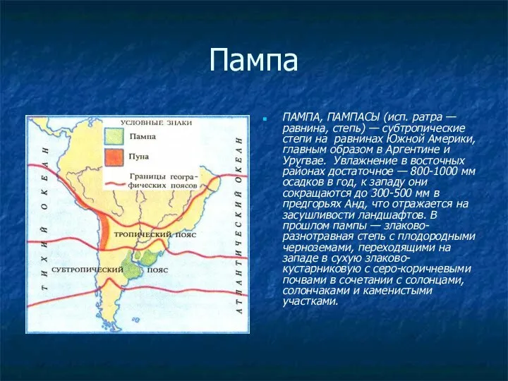 Пампа ПАМПА, ПАМПАСЫ (исп. ратра — равнина, степь) — субтропические степи