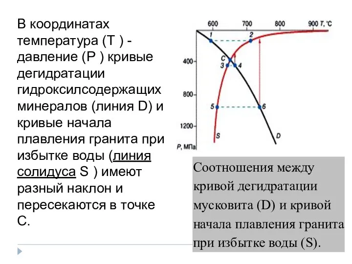 В координатах температура (Т ) - давление (Р ) кривые дегидратации