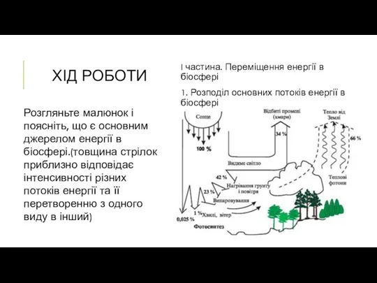 ХІД РОБОТИ I частина. Переміщення енергії в біосфері 1. Розподіл основних