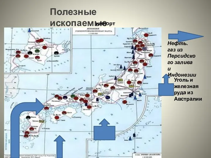 Полезные ископаемые Нефть. газ из Персидского залива и Индонезии. Уголь и железная руда из Австралии импорт