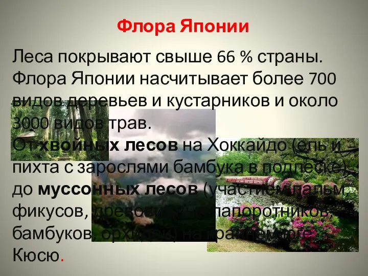 Флора Японии Леса покрывают свыше 66 % страны. Флора Японии насчитывает