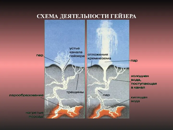 СХЕМА ДЕЯТЕЛЬНОСТИ ГЕЙЗЕРА