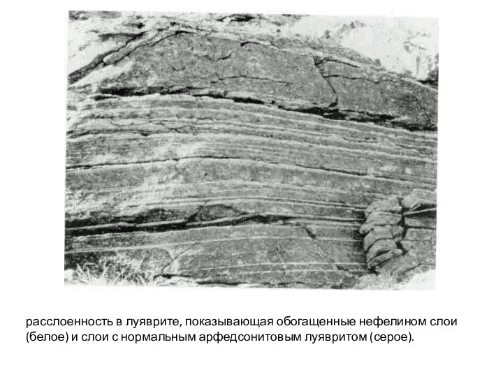 расслоенность в луяврите, показывающая обогащенные нефелином слои (белое) и слои с нормальным арфедсонитовым луявритом (серое).