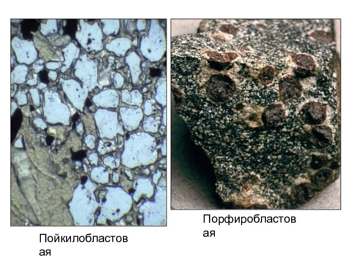 Пойкилобластовая