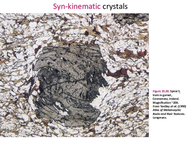 Syn-kinematic crystals Figure 23.38. Spiral Si train in garnet, Connemara, Ireland.