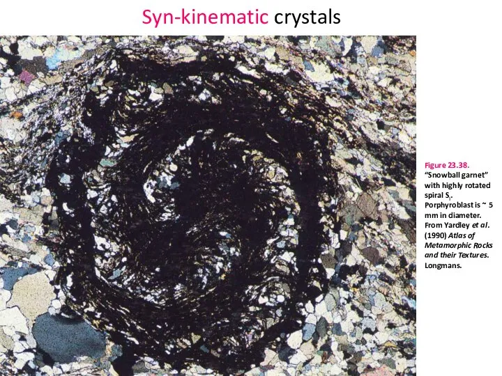 Syn-kinematic crystals Figure 23.38. “Snowball garnet” with highly rotated spiral Si.