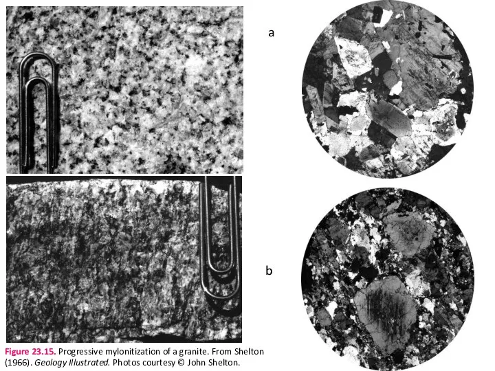 a b Figure 23.15. Progressive mylonitization of a granite. From Shelton