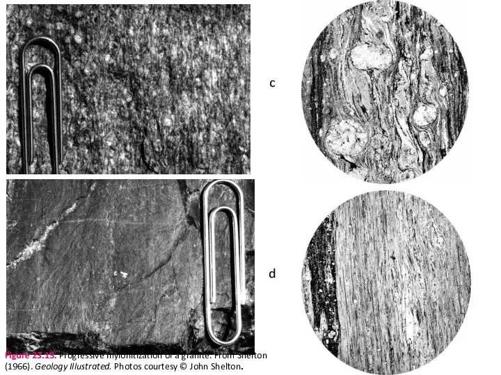 d c Figure 23.15. Progressive mylonitization of a granite. From Shelton