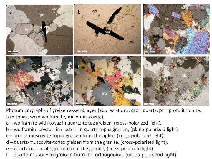 Photomicrographs of greisen assemblages (abbreviations: qtz = quartz, pt = protolithionite,