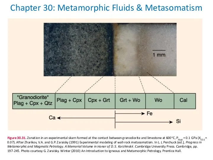 Chapter 30: Metamorphic Fluids & Metasomatism Figure 30.31. Zonation in an